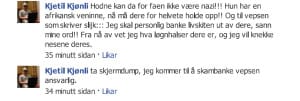 Kjetil Kjønli vil skambanke de ansvarlige i Vepsen.