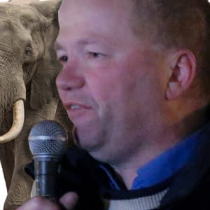 maxelefant